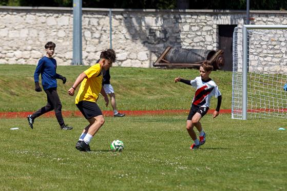 20260613_Wielgut_1537.jpg